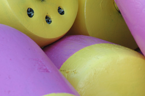 buoys Down in front of Capot. Joe's