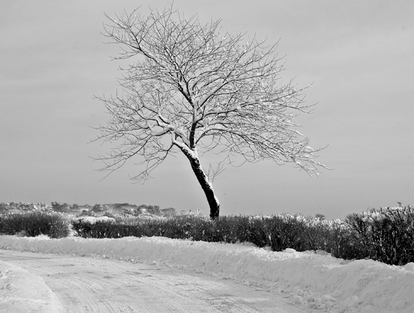 Eatern Point Boulevard
