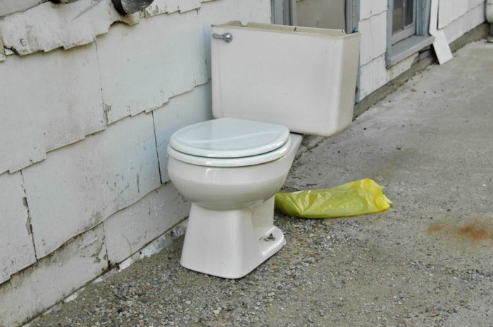 Ready for the morning paper