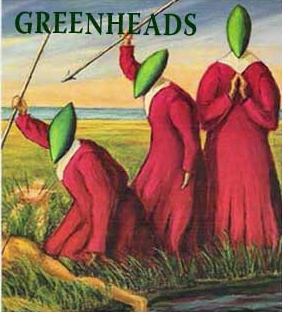 greenheads-photo