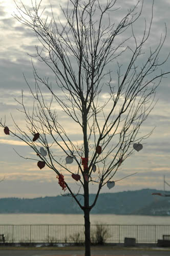 valentine-tree1