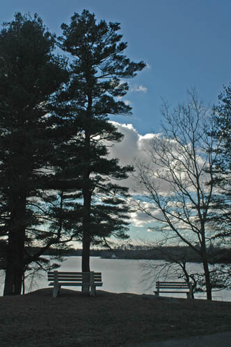 Centennial Grove overlooking Chebacco Lake, Essex