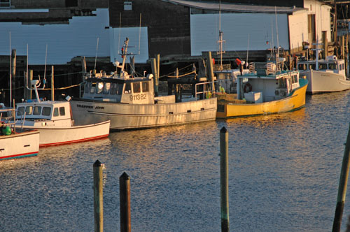 lobster-boats