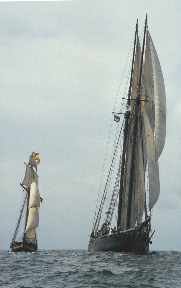 pride-and-ernestinapsd