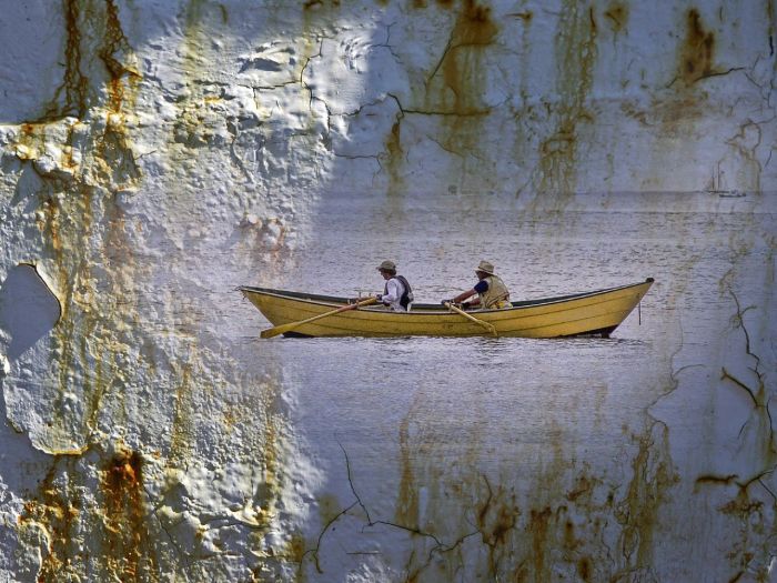 2232775105_0721a4fe0e_o 2232775105_0721a4fe0e_o