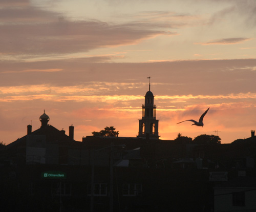 photo by Sharon Lowe