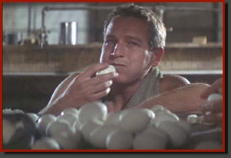 cool_hand_luke_50_eggs cool_hand_luke_50_eggs