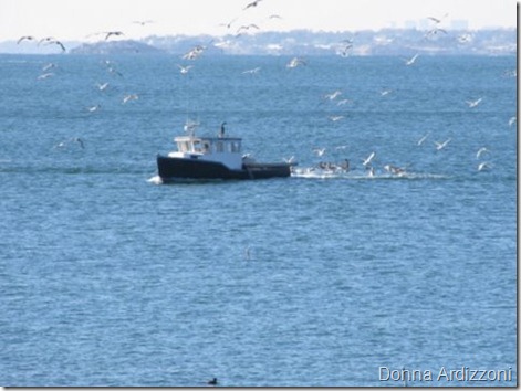 Working hard for the money