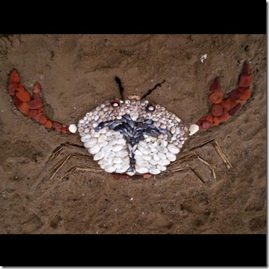 EnvironCrab