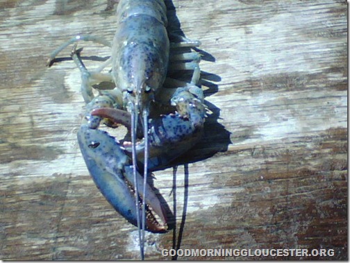 camera photos 2 001-1