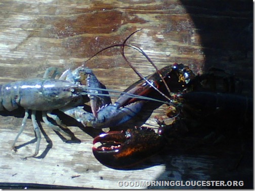 camera photos 2 002-1