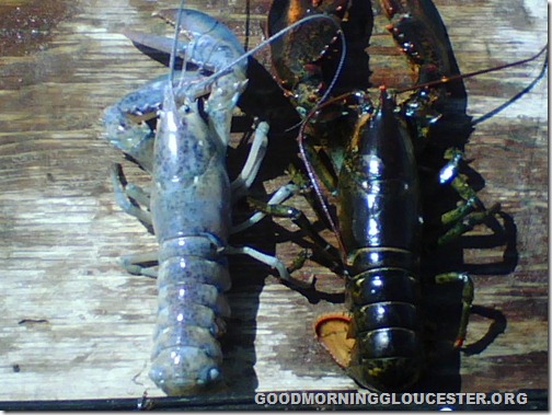 camera photos 2 003-1