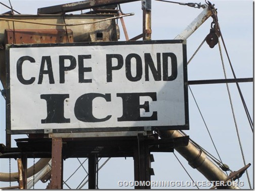Cape Pond Ice 007