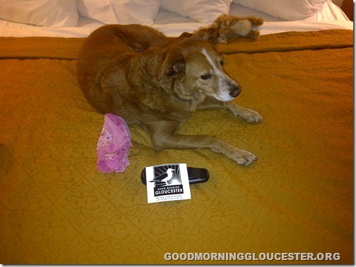 Winona-20101022-00011