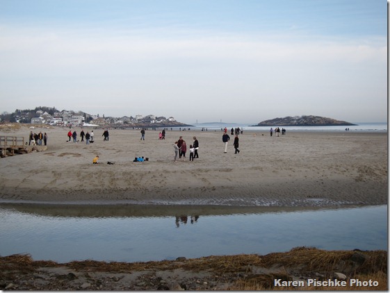 Balmy%20New%20Years%20Day%202011[1]