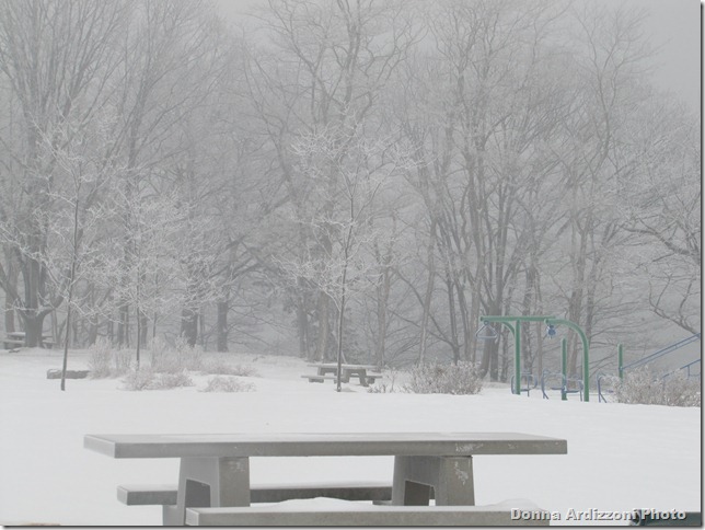 Beauty before the storm. Love the Trees
