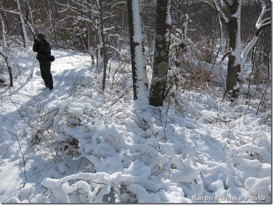 Blizzard%2011.12.11[1]