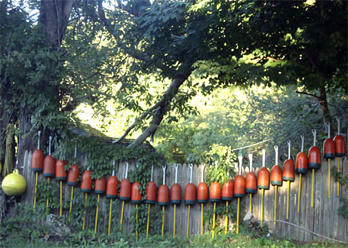 photo of row of buoys on a fence forming an orange toothed smile