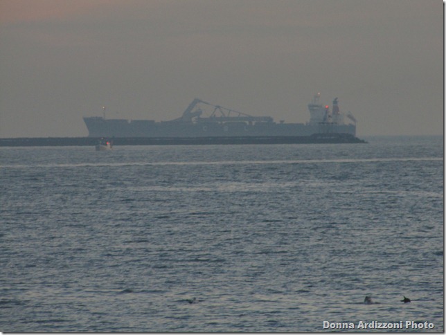 Huge%20Ship%20going%20by%20Dog%20Bar%20taken%20from%20the%20Blvd.[1]