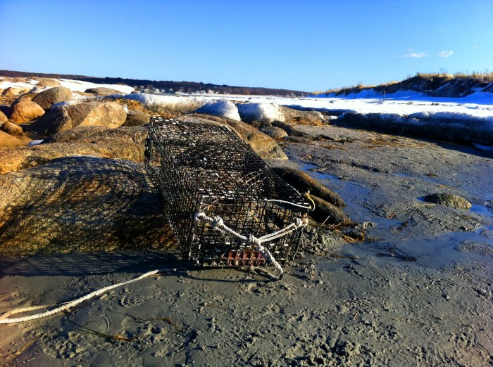 lobster trap