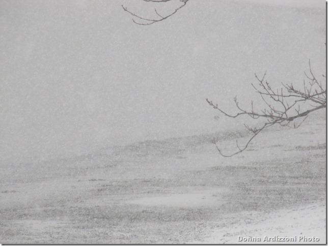 Snow in Magnolia Harbor