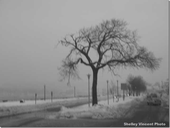 The Boulavard, Febuary 2,2011..... The Storm 001