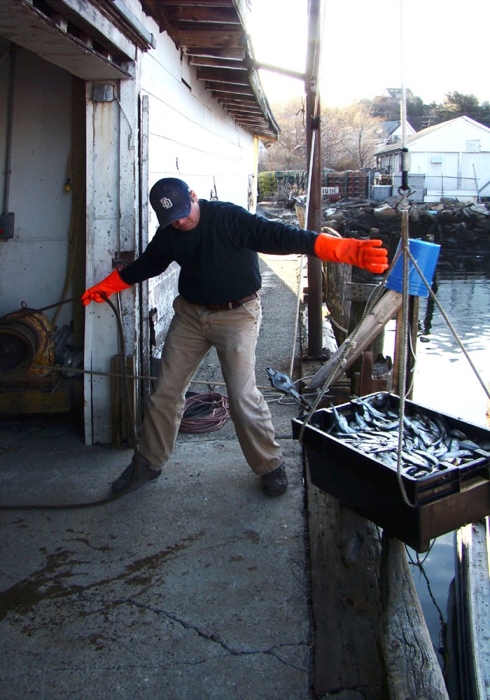 Joey C. (Ciaramitaro) working on the dock at Captain Joe & Sons