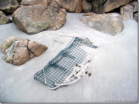 lobster pot in the sand