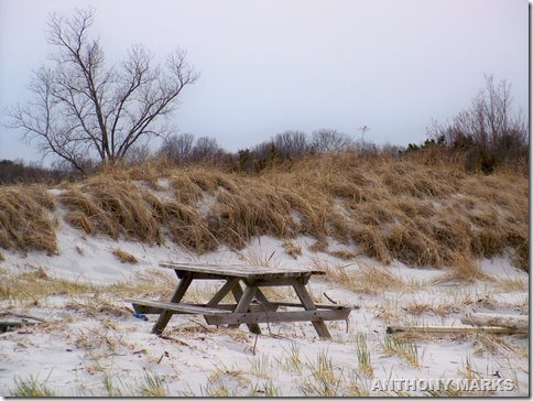 dining in the dunes at Wingaresheek beach