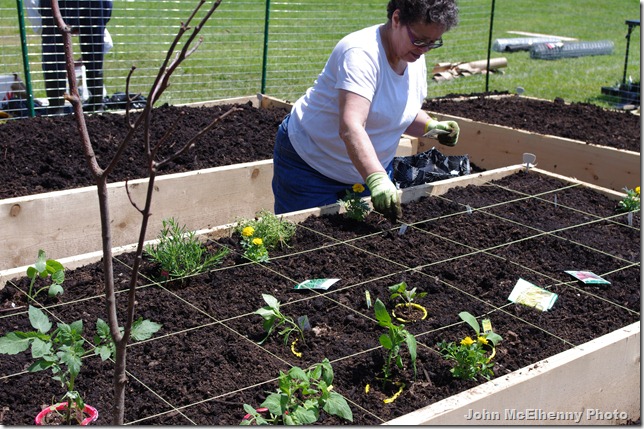 Burnham's Field garden - Paula Shevenell