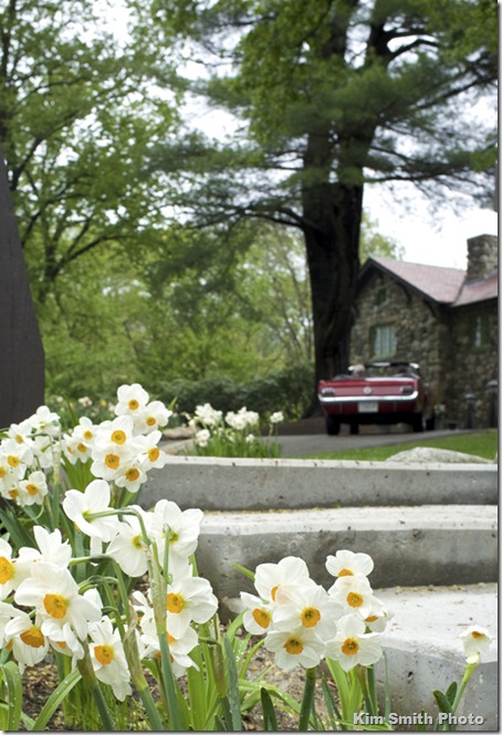 View from the parking lot stairs
