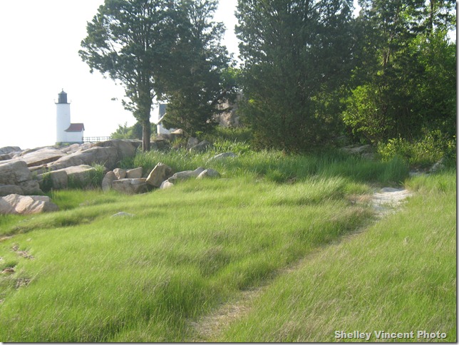 Annisquam ,June 7,2011 023