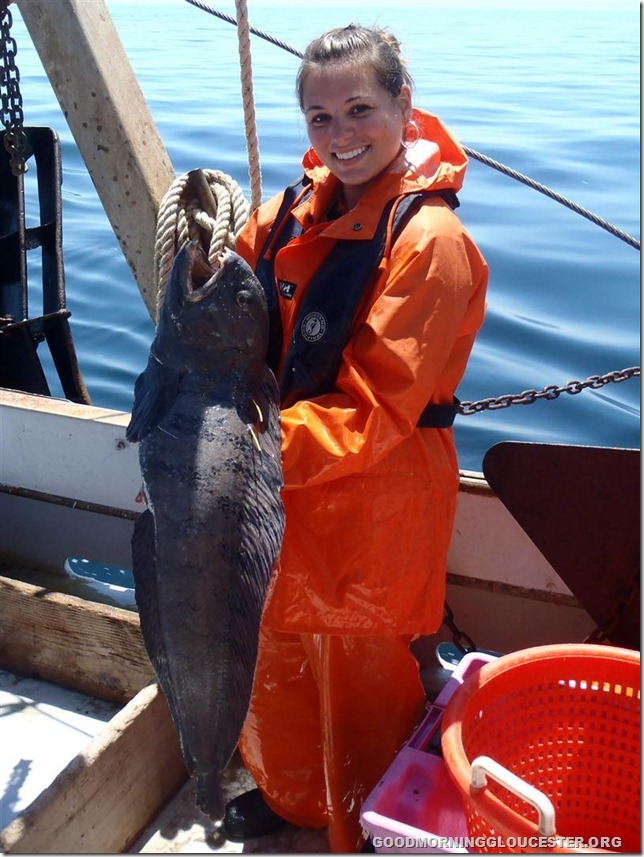 GMRI Intern, Kristina, with wolffish