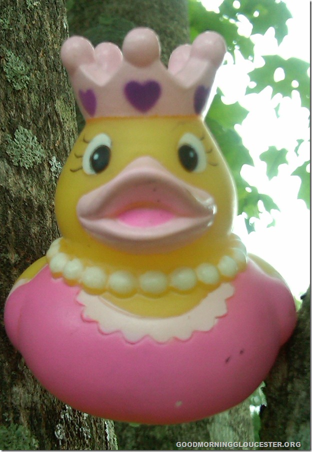 IMG00099-20110622-0810 (1)