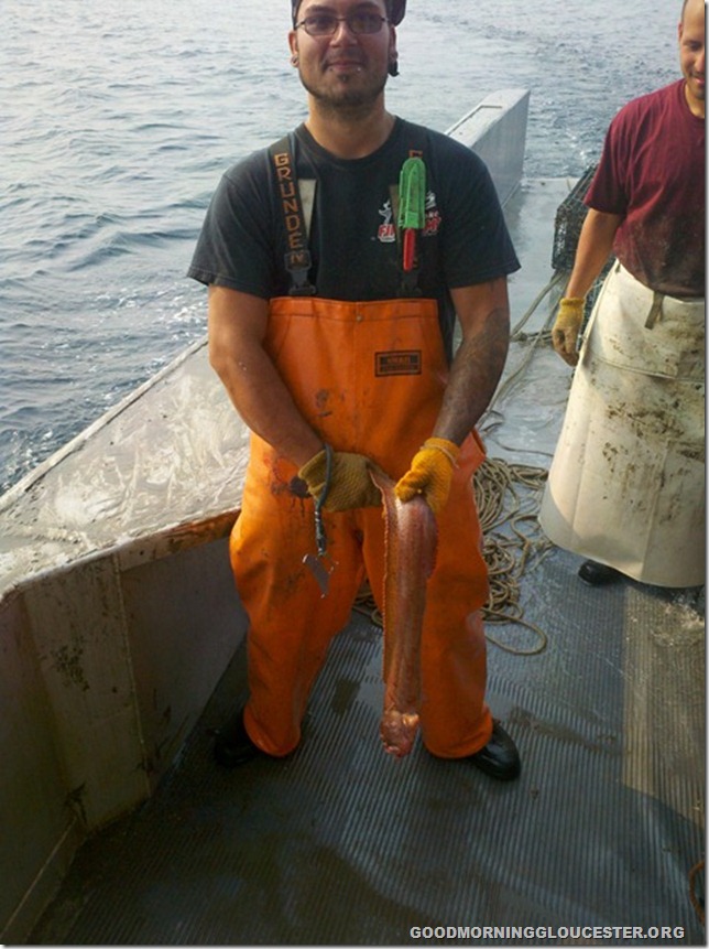 2011-07-19_08-50-51_537