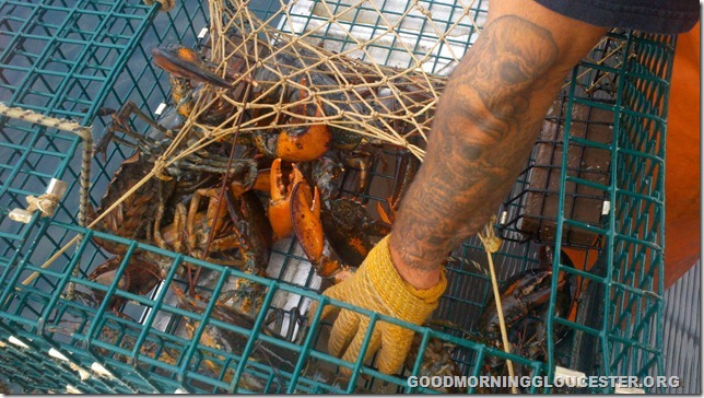 2011-07-20_07-12-14_999