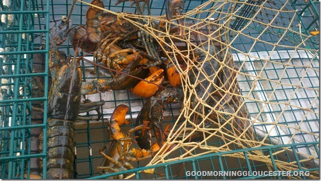 2011-07-20_07-12-26_388