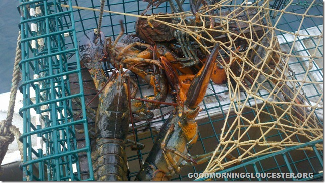 2011-07-20_07-12-43_71