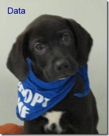 Data