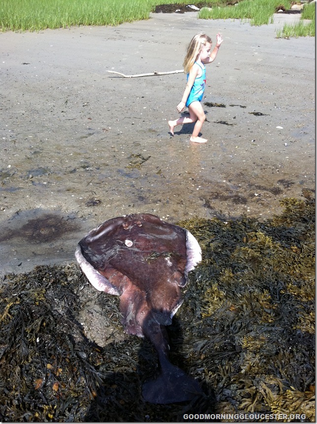 heatheriphone 3756 heatheriphone 3756