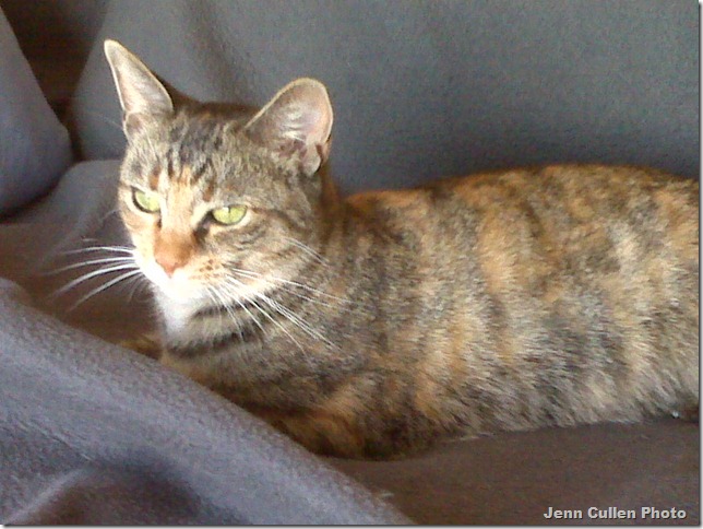 Maisy.couch1.211.07.11