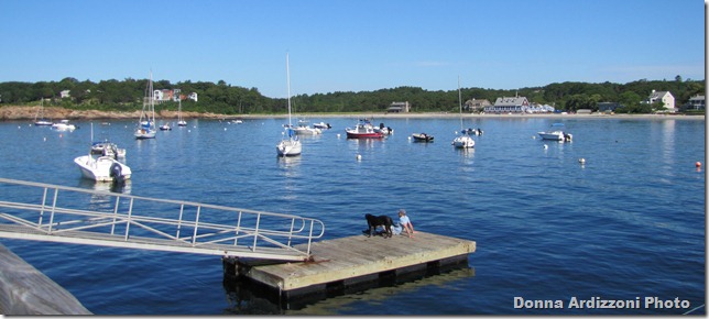 Morning at Magnolia Harbor what a beauty