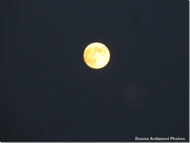 Moon over Shore Road, August 12, 2011