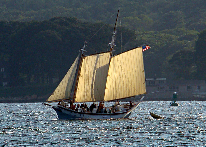 Schooner Ardelle