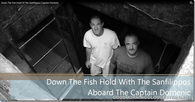 captaindomenicfishhold