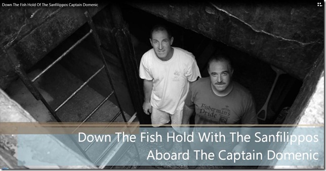 captaindomenicfishhold