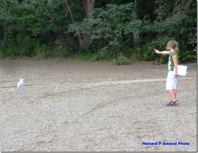 Coastsweep with Homie 1 copy