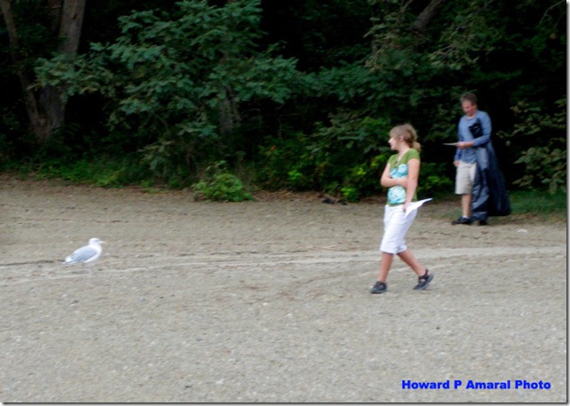 Coastsweep with Homie 2 copy