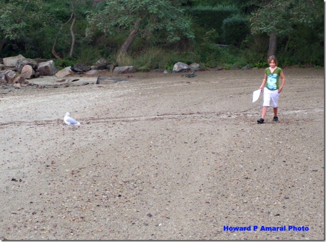 Coastsweep with Homie 3 copy