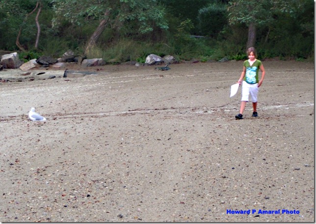 Coastsweep with Homie copy